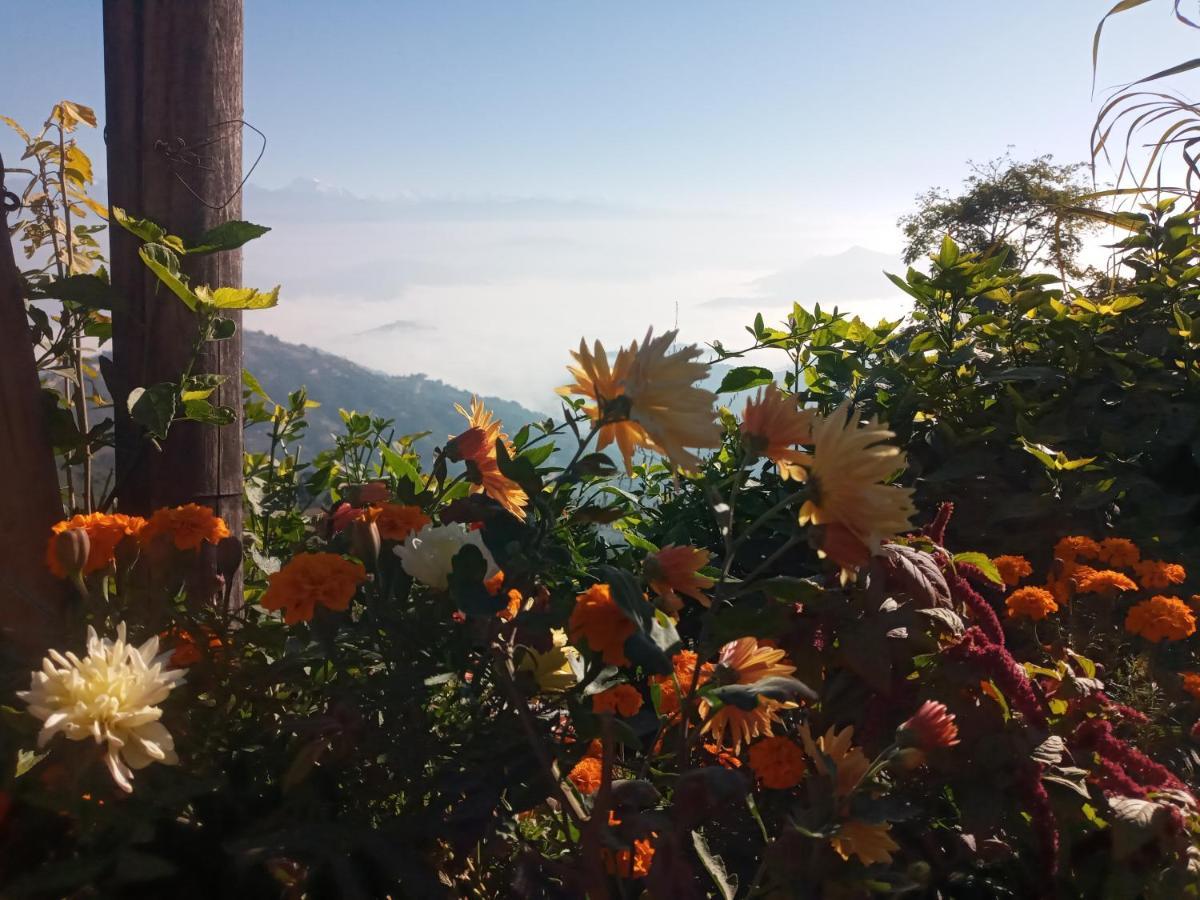 Unique Point Home Stay ナガルコット エクステリア 写真