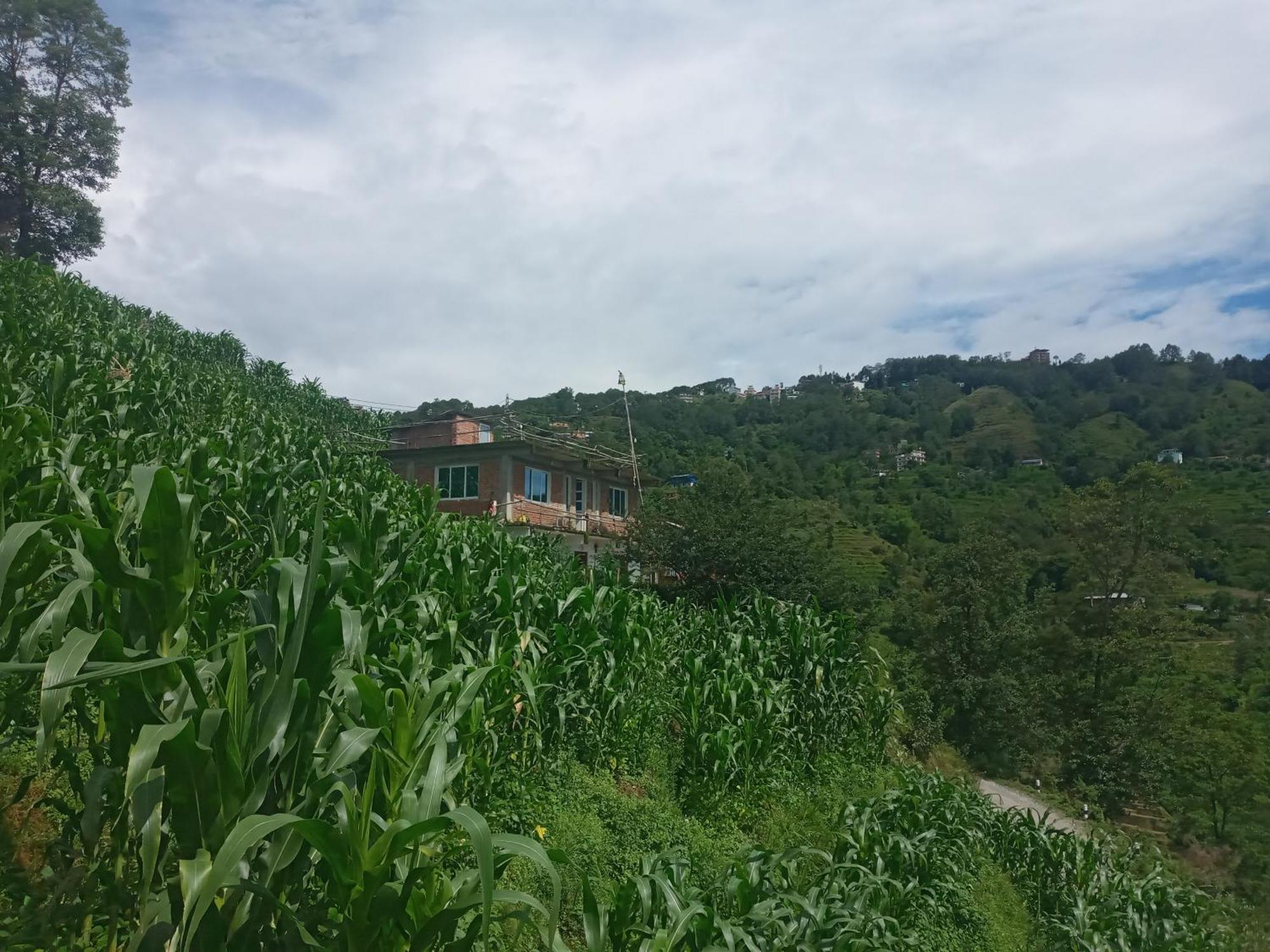 Unique Point Home Stay ナガルコット エクステリア 写真